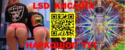 прущие грибы Кулебаки