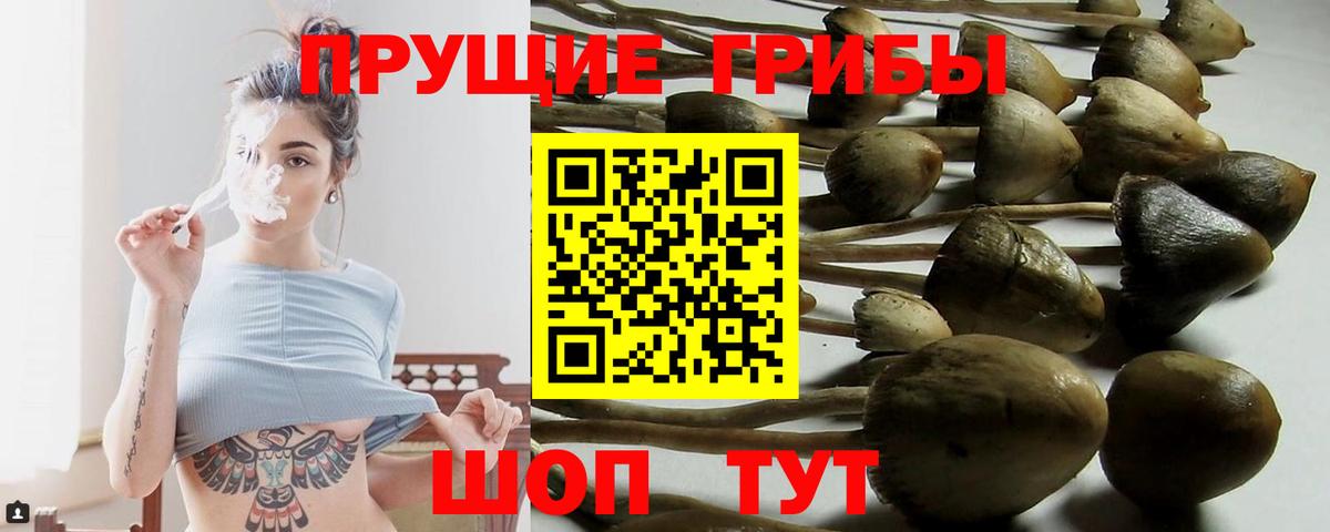 Галлюциногенные грибы мухоморы  Вход с VPN  Вязьма 